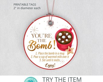 Editable Winter Hot Chocolate Bomb Tags | Christmas Chocolate Bombs Instructions Tag | Printable Christmas Winter Bomb Tag  W30