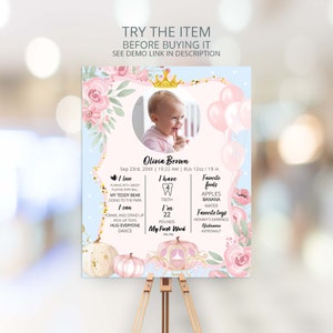 Little Princess Birthday Milestones Sign Pink and Gold Princess Decorations Birthday Pumpkin Carriage  Princess Birthday Chalkboard P172
