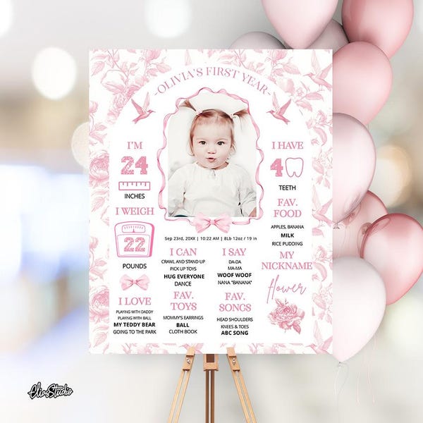 Pink Bow 1st Birthday, Floral Toile Bow Milestone Sign First Year, Bow First Birthday Girl Decoration, Milestone Board, SB49