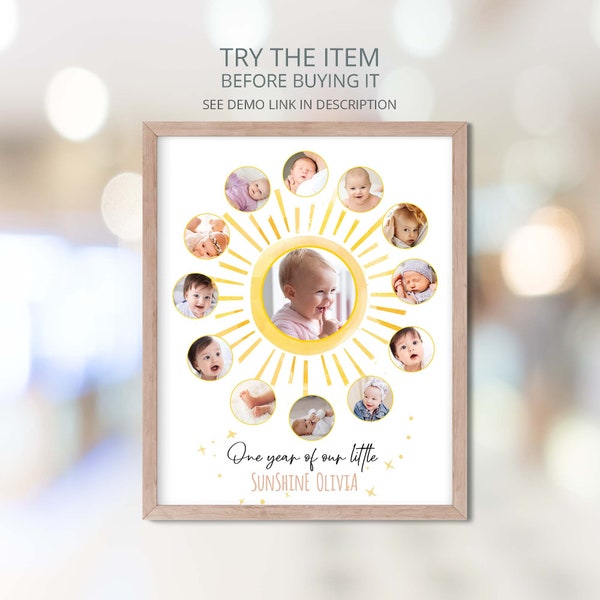 Sunshine Birthday Baby's First Year Photo Poster Template, Baby Milestone Board Photo Collage first Flight Around the Sun S73