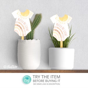 Watch Me Grow Succulent Tag Boho Sun and Rainbow Baby Shower Printable Favor Tags, Plant Tags Template DIY Instant Download RB14