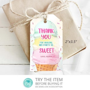 Editable Ice Cream Favor Tags. Ice Cream Party Thank You Tags, Ice Cream Birthday Printable Thank You Label /0289