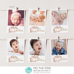 Pastel Pumpkin First Birthday Girl Banner, Monthly Photo Banner, First Year Photos, 1st Birthday Milestone Photo P3