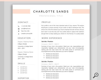 Professional Resume Template Curriculum Vitae Resume Template Bundle Minimalist Executive CV template free RESUME TEMPLATE Word