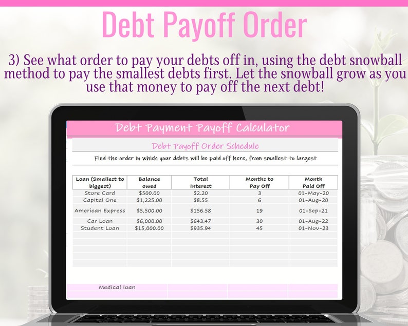 May include: A computer screen displaying a debt payoff order schedule. The schedule lists different types of loans, their balances, total interest, months to pay off, and the month the loan will be paid off. The debt payoff order schedule is a tool to help people pay off their debts in a strategic way.