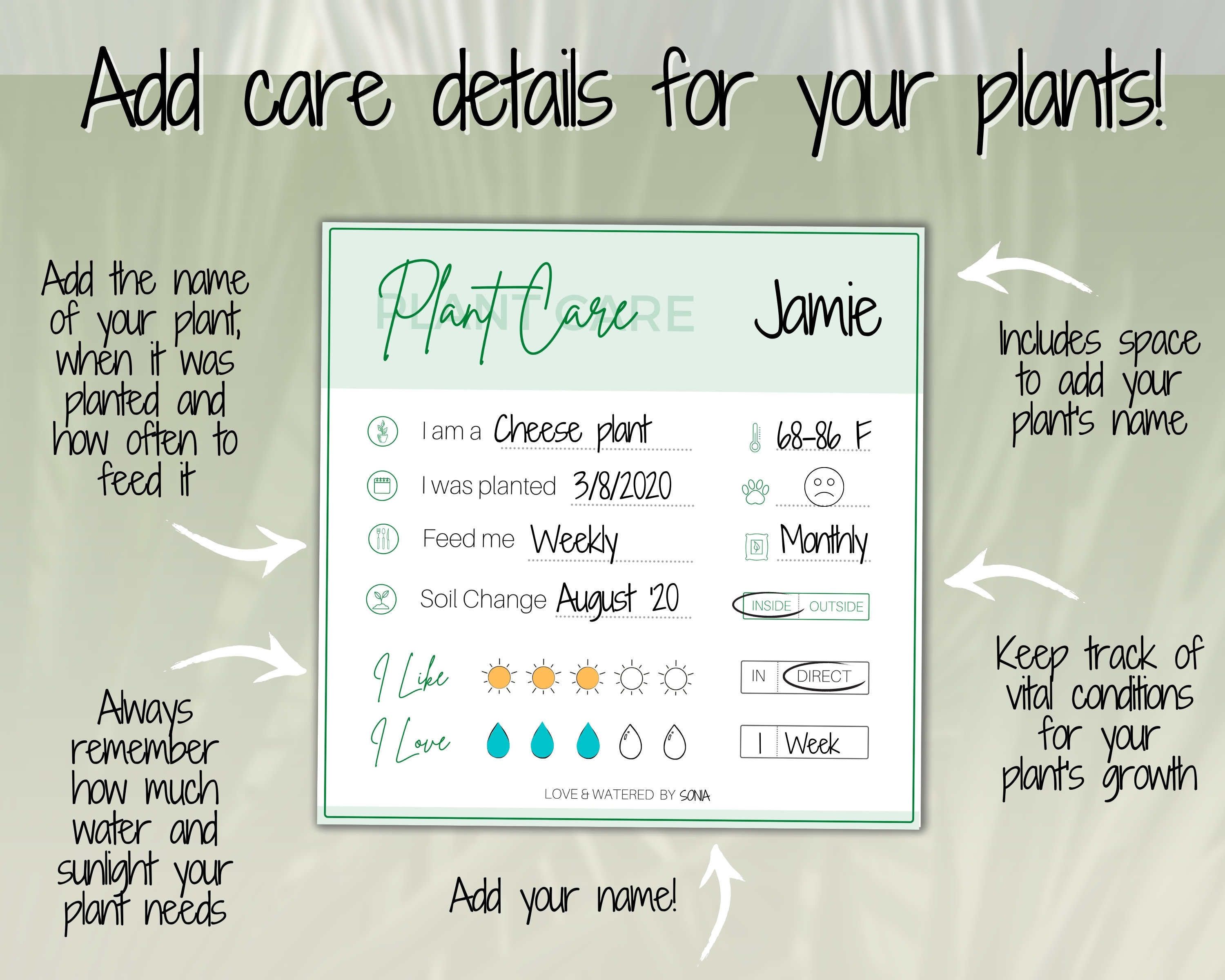 Plant care tags printable plant care instructions card etsy canada