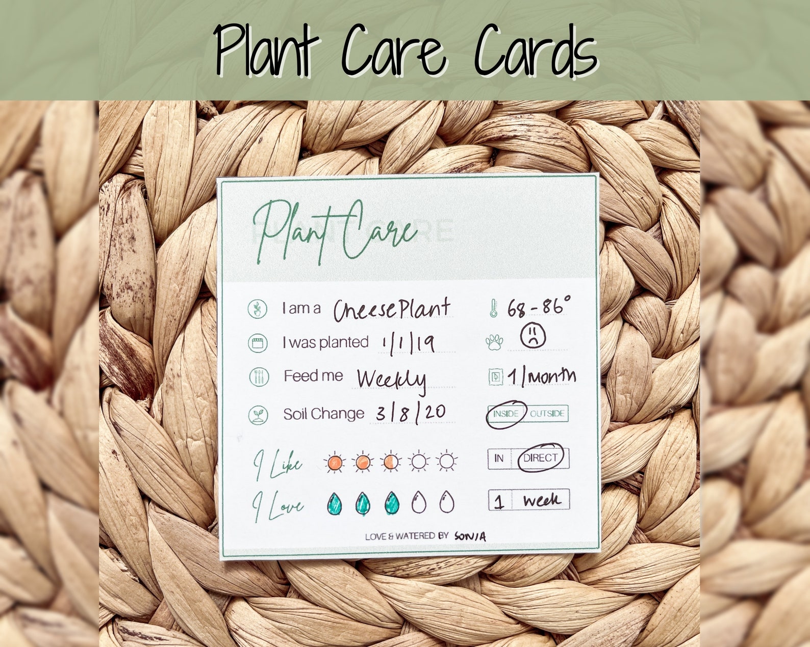 plant-care-instructions-card-printable-plant-tags-digital-etsy