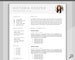 CV TEMPLATE Resume Word. Professional Resume Template. Minimalist Executive. CV template free. Resume Template Bundle. Curriculum Vitae 