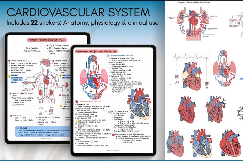 Cardiovascular Digital Stickers, Medical Student, Nursing, Digital ...