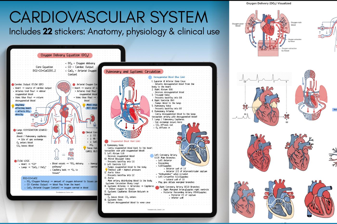 Cardiovascular Digital Stickers, Medical Student, Nursing, Digital ...