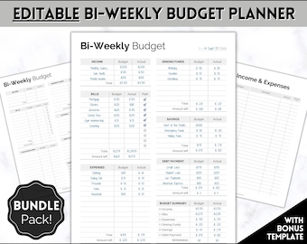 May include: A printable bi-weekly budget planner with sections for income, bills, expenses, savings, sinking funds, and debt payments. The planner includes a budget summary and a bonus template.