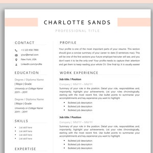 Professional Resume Template Word. CV Template Professional, Modern Executive Resume Template, Clean, Minimalist Resume, Free Docs Bundle