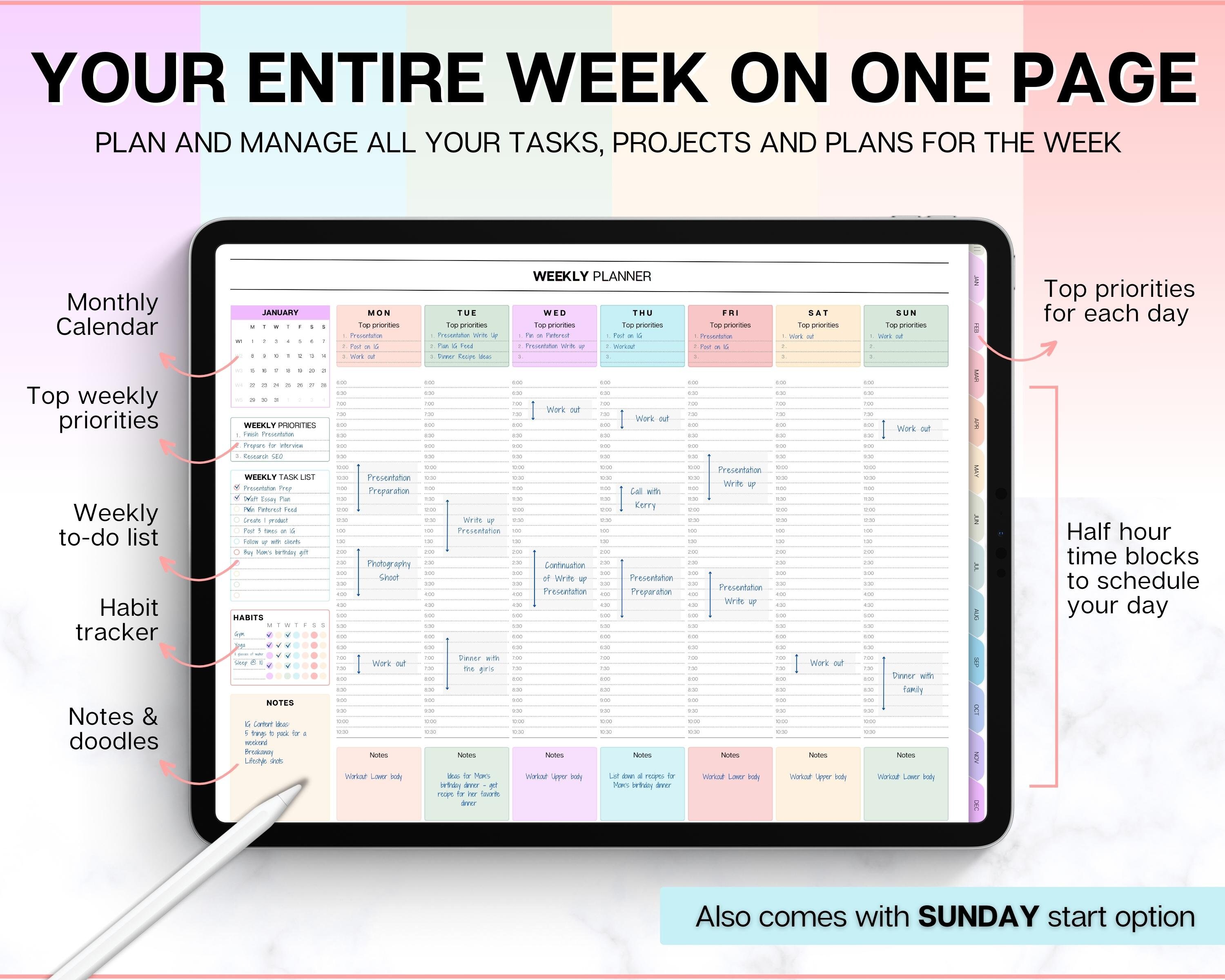WEEKLY Hourly Digital Planner, 2024 Digital Planner, iPad Planner ...