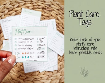 House plant care tags