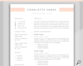 RESUME TEMPLATE Word. Professional Resume Template. Minimalist Executive. CV template free. Resume Template Bundle. Curriculum Vitae