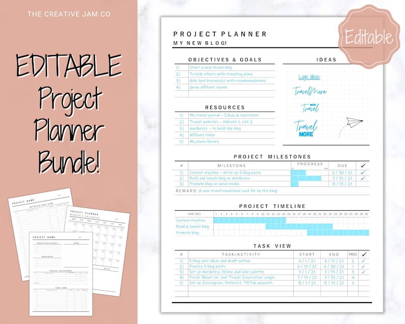 EDITABLE Project Planner Printable. Template BUNDLE, Work, Business ...