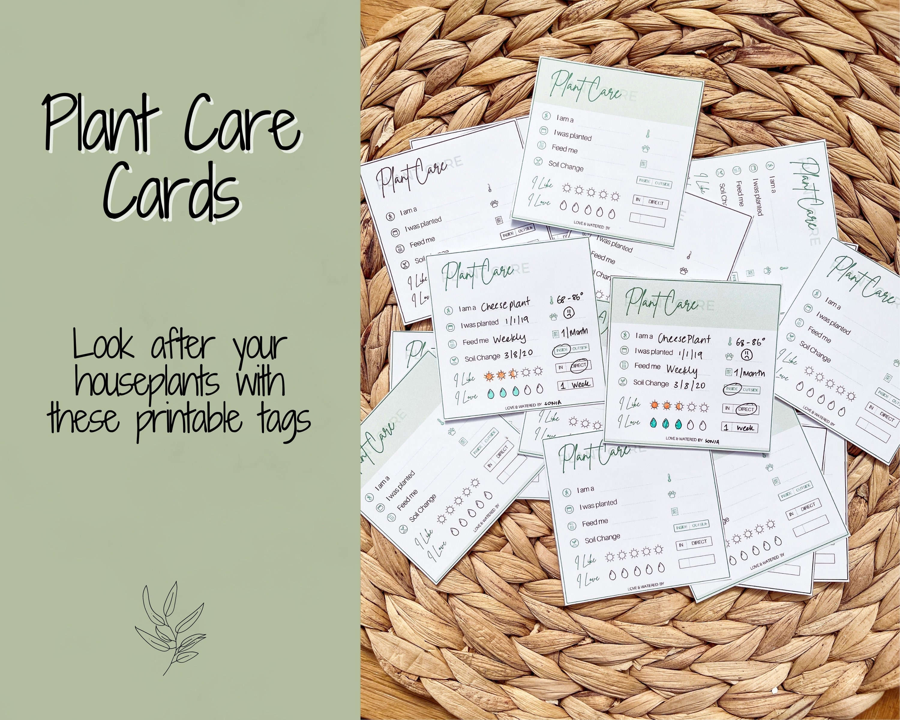 PLANT CARE CARD Printable Plant Care Instructions Tag | Etsy