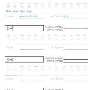 Debt Payoff Tracker Printable, Budget Planner, Financial Planner, Debt Snowball Dave Ramsey, Repayment, Budget Template, Payday Bill Tracker image 5