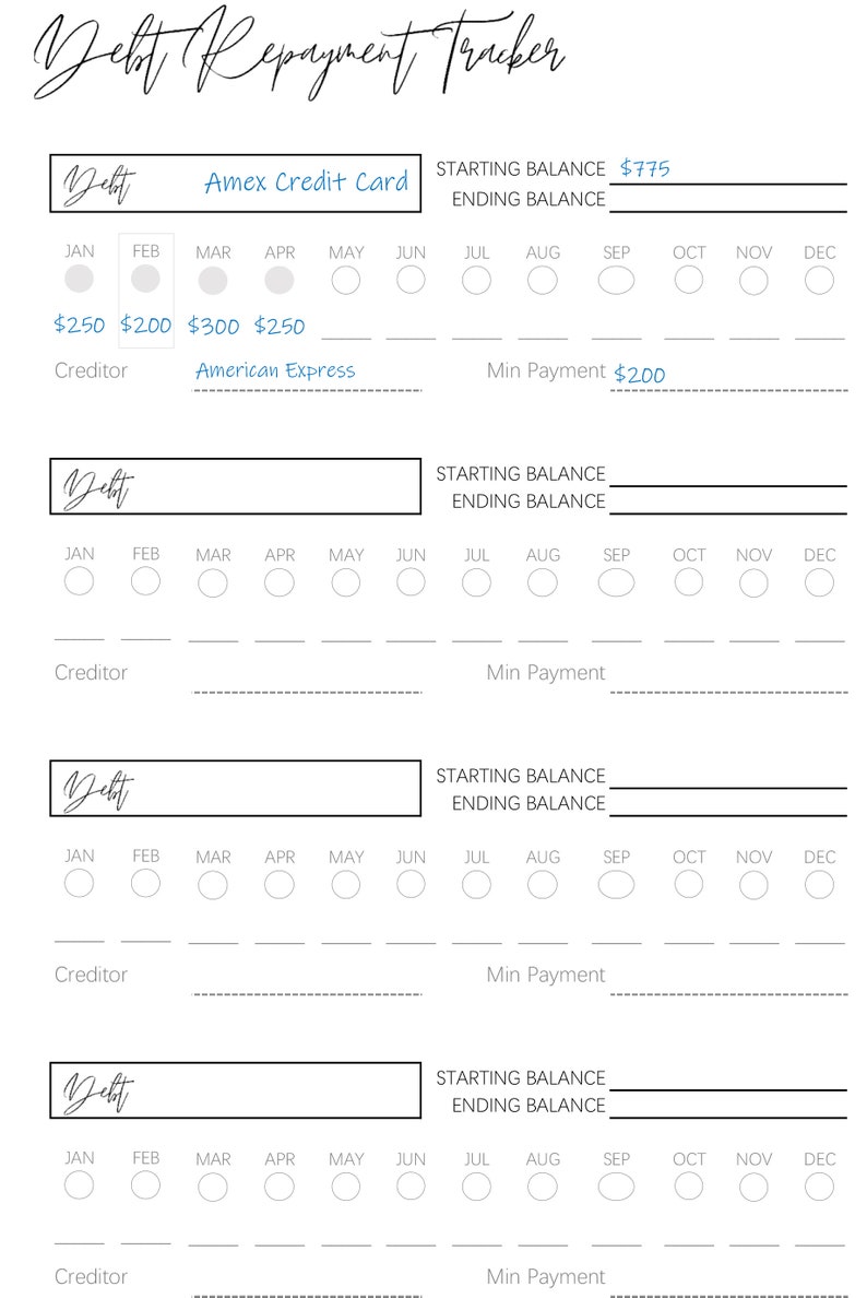 Debt Payoff Tracker Printable, Budget Planner, Financial Planner, Debt Snowball Dave Ramsey, Repayment, Budget Template, Payday Bill Tracker image 5