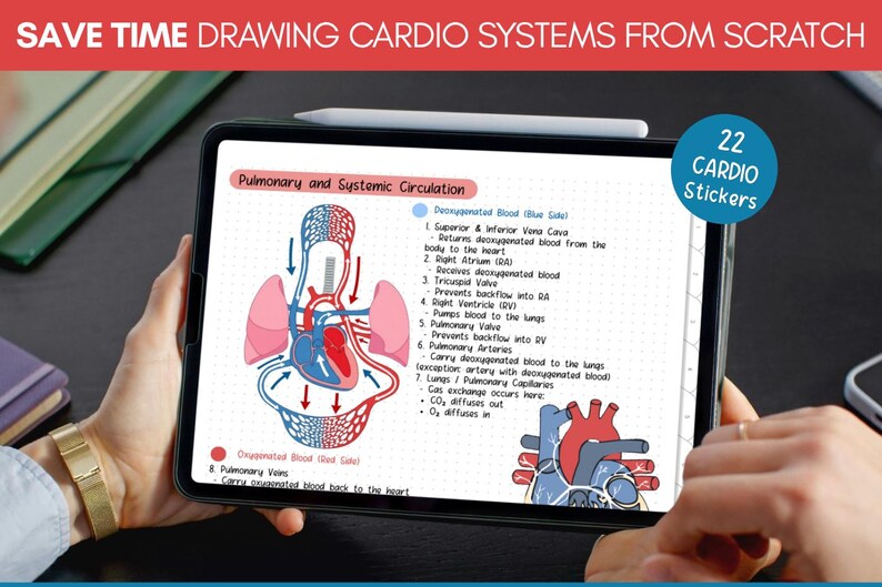 Cardiovascular Digital Stickers, Medical Student, Nursing, Digital ...