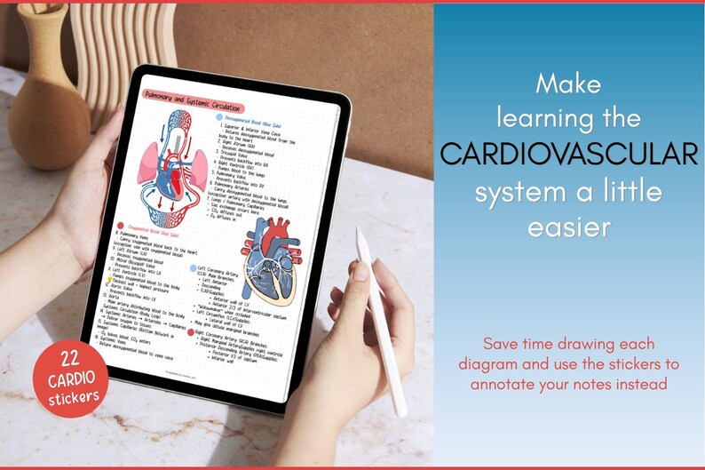 Cardiovascular Digital Stickers, Medical Student, Nursing, Digital ...