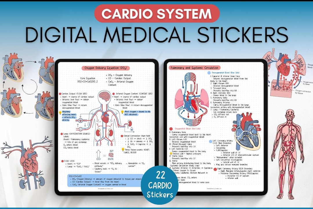 Cardiovascular Digital Stickers, Medical Student, Nursing, Digital ...