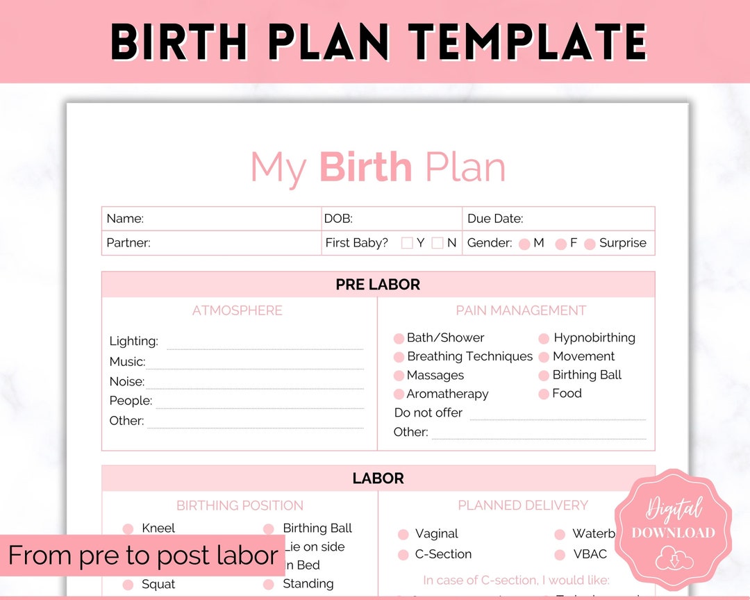 Birth Plan Template, Printable Birth Preferences, Birthing Plan ...