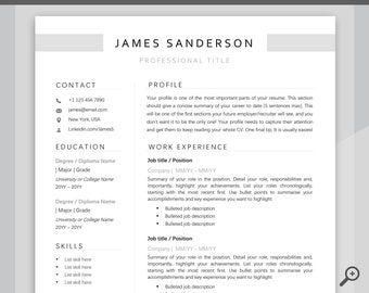 Professional Resume Template Word. CV Template Professional, Modern Executive Resume Template, Clean, Minimalist Resume, Free Docs Bundle