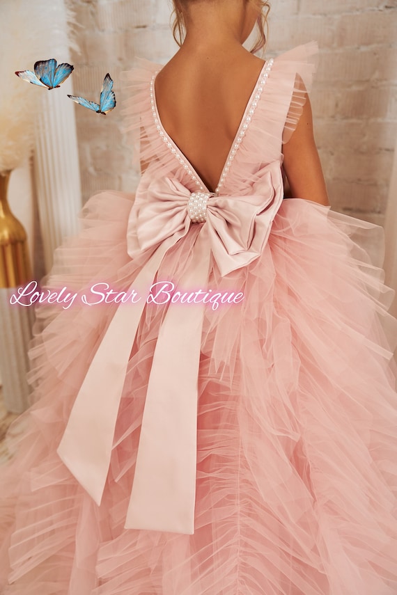 Buy Pretty Girls Princess Dress Light Pink Organza Dress Backless Online in  India 