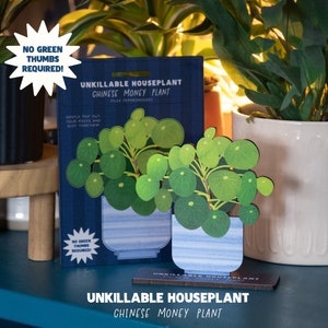 Planta de dinero china PLANTA DE CASA UNKILLABLE - Pilea Peperomiodes - Regalo de planta de casa para jardineros - asesino de plantas - tarjeta de padre de planta divertida
