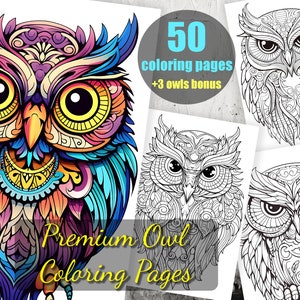 Premium Owl Coloring Pages for Adults - 50 High-Quality Digital Designs with Clean Line Art - No Grayscale