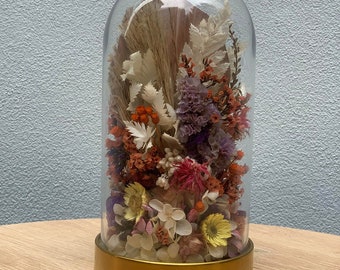 Getrocknete Blumen in Glaskuppel, rustikale Blumen, Boho-Blumen, Australische hergestellt, Wohnkultur, Gänseblümchen