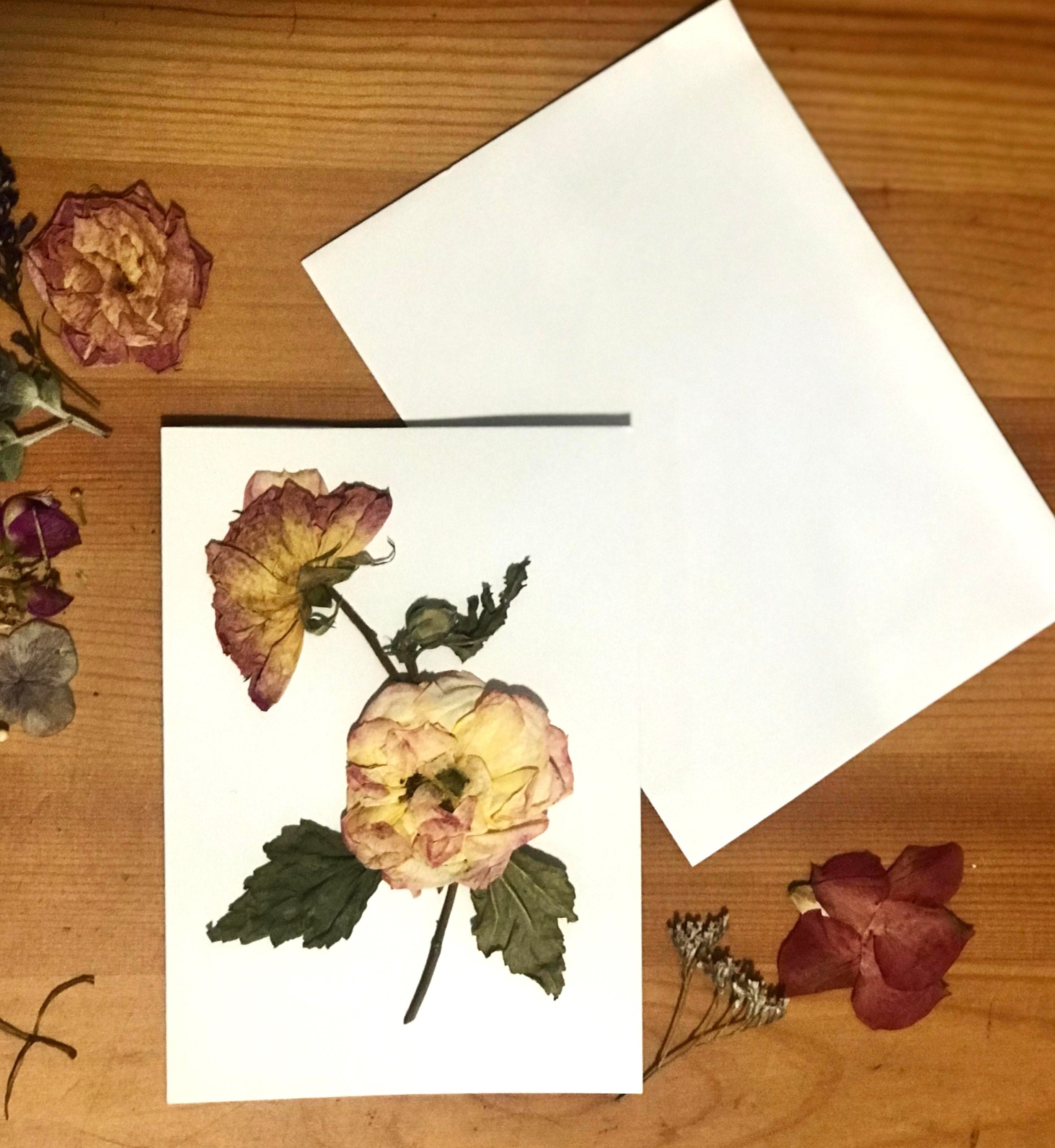 Genuine PRESSED FLOWER Rose Greeting CARD Birthday Etsy Australia