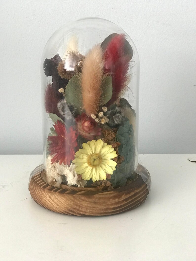 Dried Flowers in Glass Dome Rustic Flowers Boho Flowers Etsy Australia