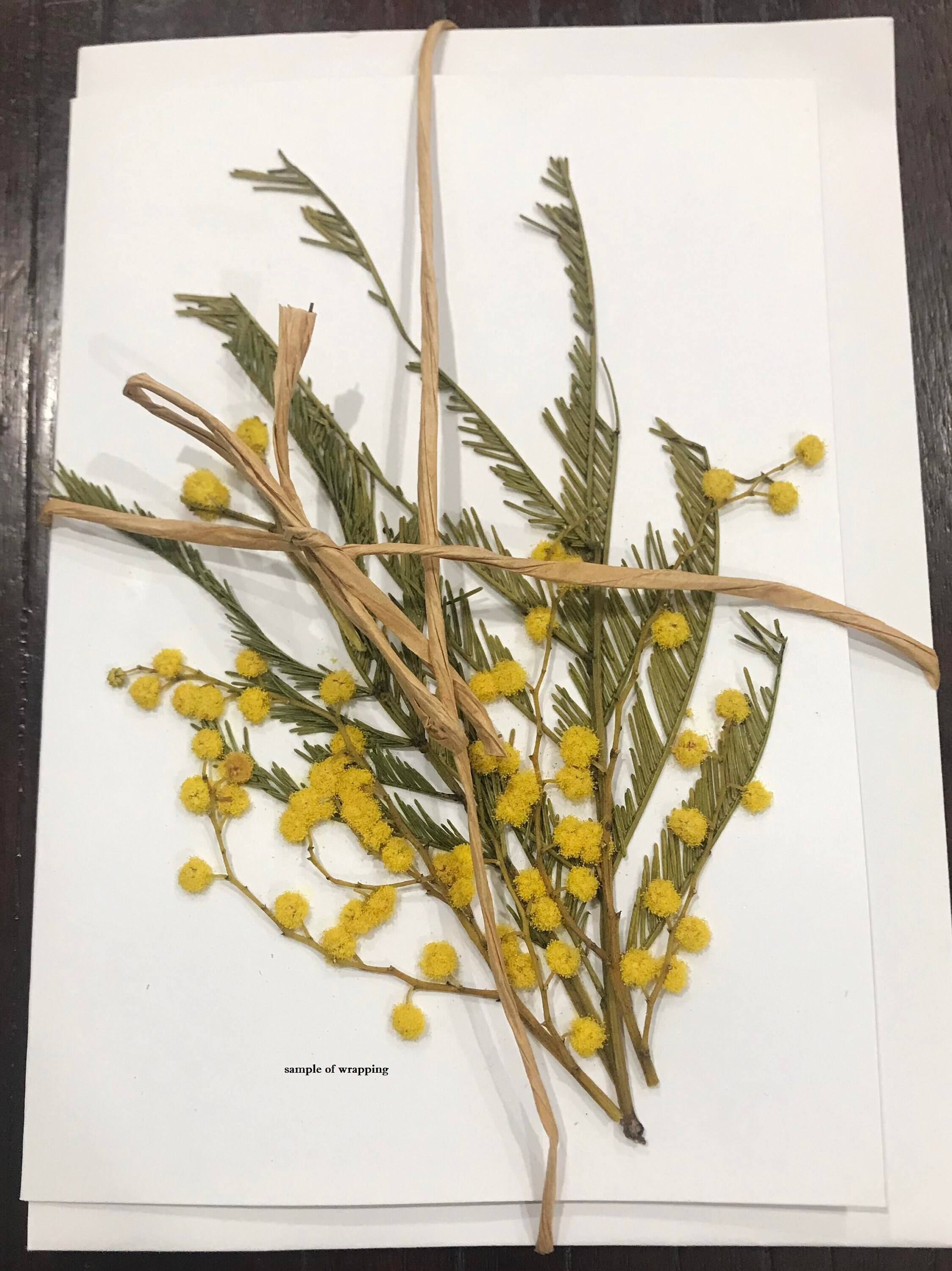 Genuine PRESSED FLOWER Rose Greeting CARD Birthday Etsy Australia