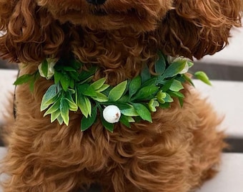 Wedding Dog Collar Corsage: Green Flower Crown, Ring Bearer Attire
