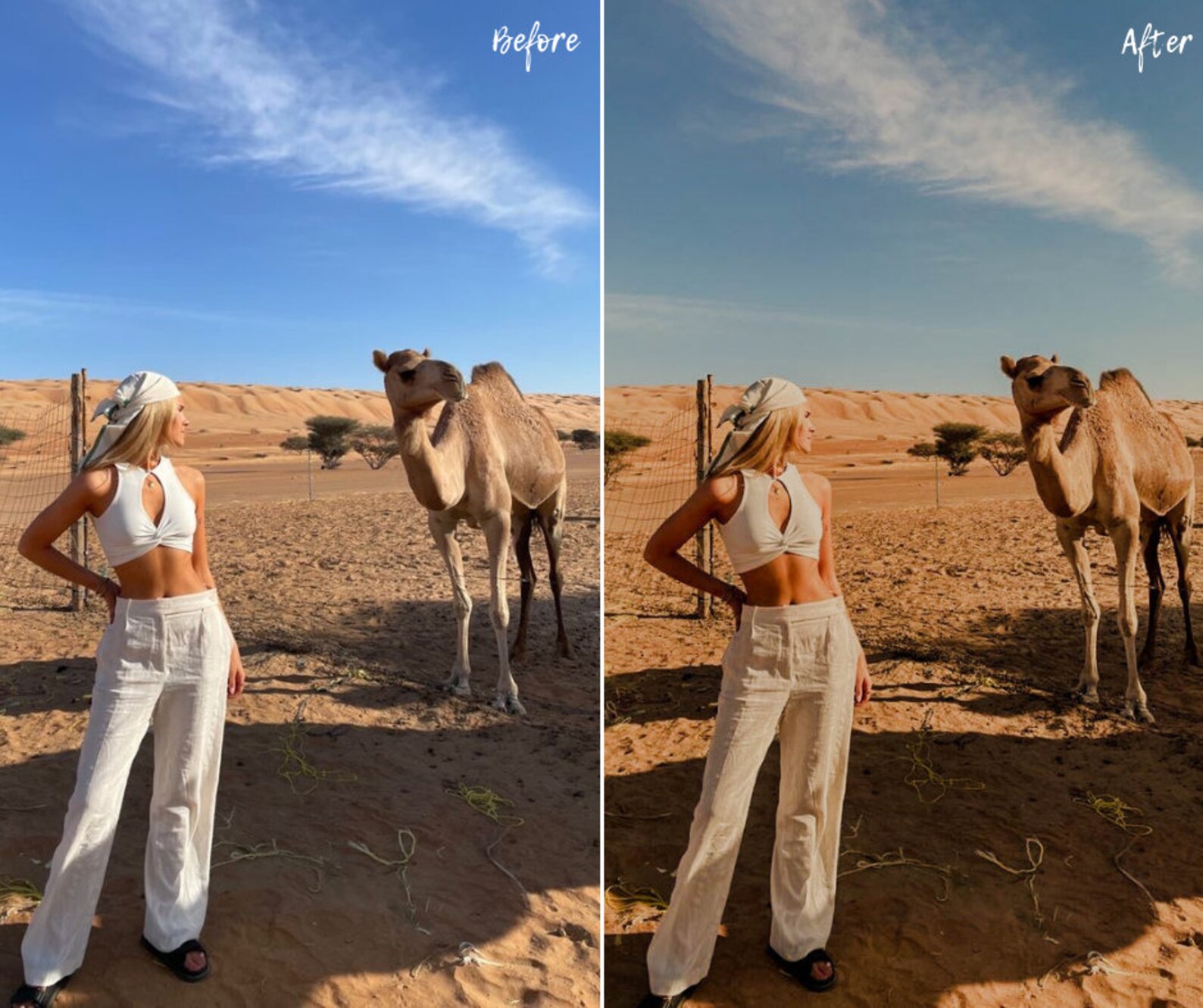 10 Desert Safari Mobile & Desktop Lightroom Presets | Travel in Dubai ...