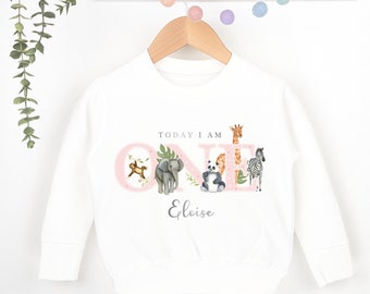 Safari Birthday White Sweatshirt 1st 2nd Party Outfit Pink Girl Jumper Birthday Gift Jungle theme Baby Toddler One Two Clothing