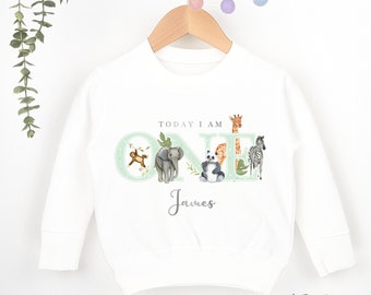 Safari Birthday White Sweatshirt 1st 2nd Party Outfit Boy Girl Jumper Green Birthday Gift Jungle theme Baby Toddler One Two Clothing