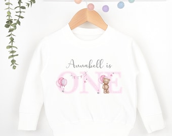 Pink Teddy Any Age, 1st Birthday Party Sweatshirt, Personalised First Birthday design Childs Jumper Sweatshirt Baby Girl Gift