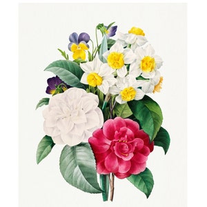 Bouquet of Roses with Daisies Fine Art Print - Vintage Lithograph from 1833 - Framed/Unframed