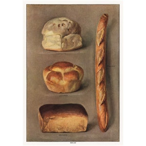 BREAD PRINT - Antique Lithograph from The Grocer's Encyclopedia - Framed/Unframed