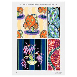 Emile-Allain Seguy : Floreal - New Designs and Colors, Plate 8 (1924) - Giclee Fine Art Print - Framed/Unframed/Canvas