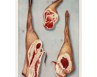 Vintage LAMB CHOPS PRINT - A3/A4 Framed/Unframed