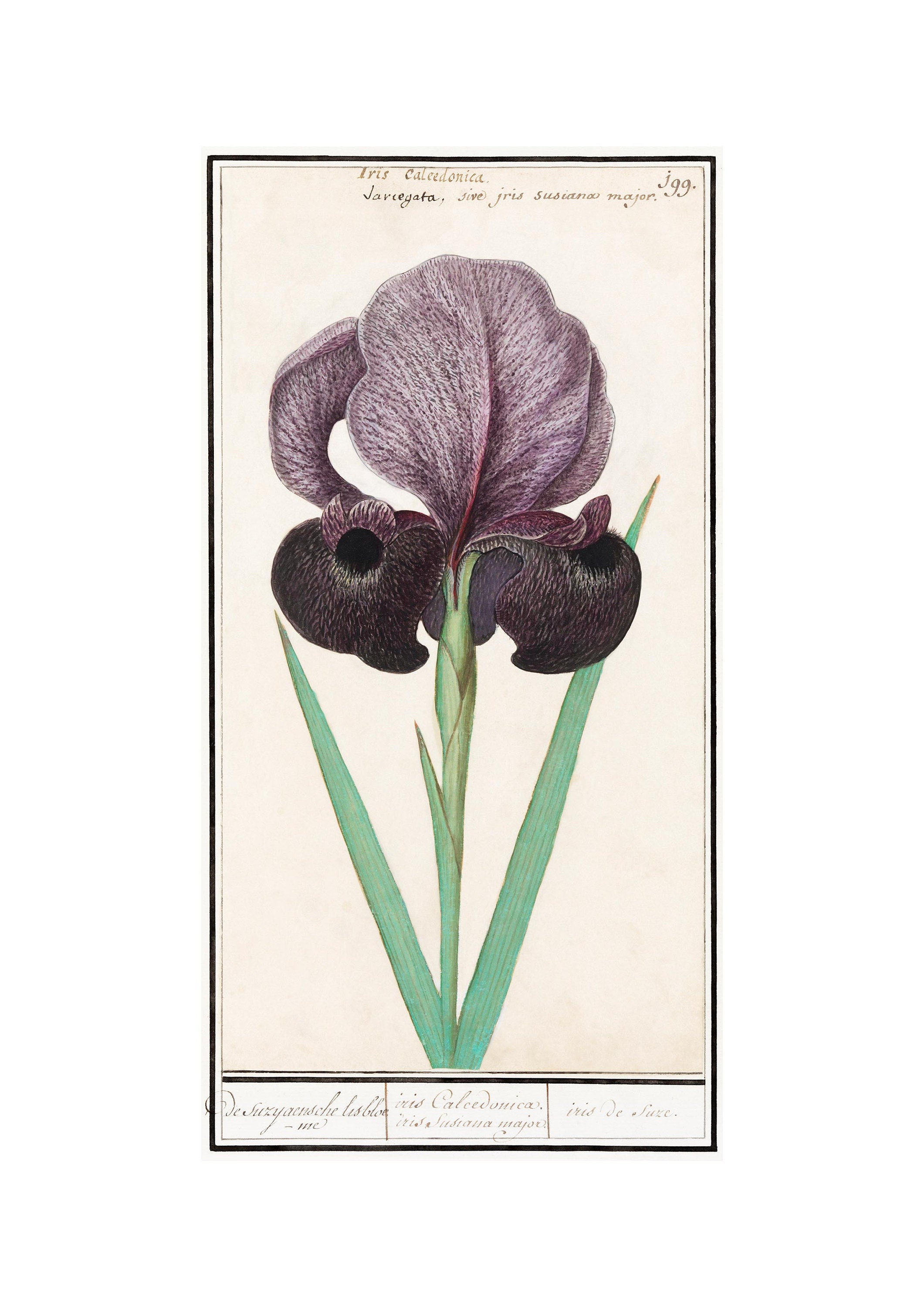 worldvintageprints - Etsy 日本