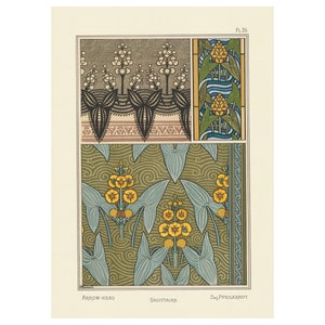 Plants and Their Application to Ornament : Arrowhead Flower (1896) - Giclee Fine Art Print - Framed/Unframed/Canvas