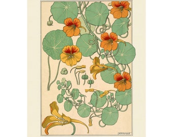 Vintage Oost-Indische kers Giclee Art Print - A4/A3/A2 ingelijst/ingelijst/canvas