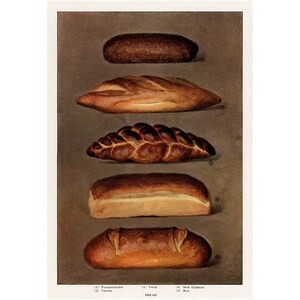 May include: Five different types of bread are displayed on a brown background. The bread types are pumpernickel, Vienna, twist, New England, and rye.