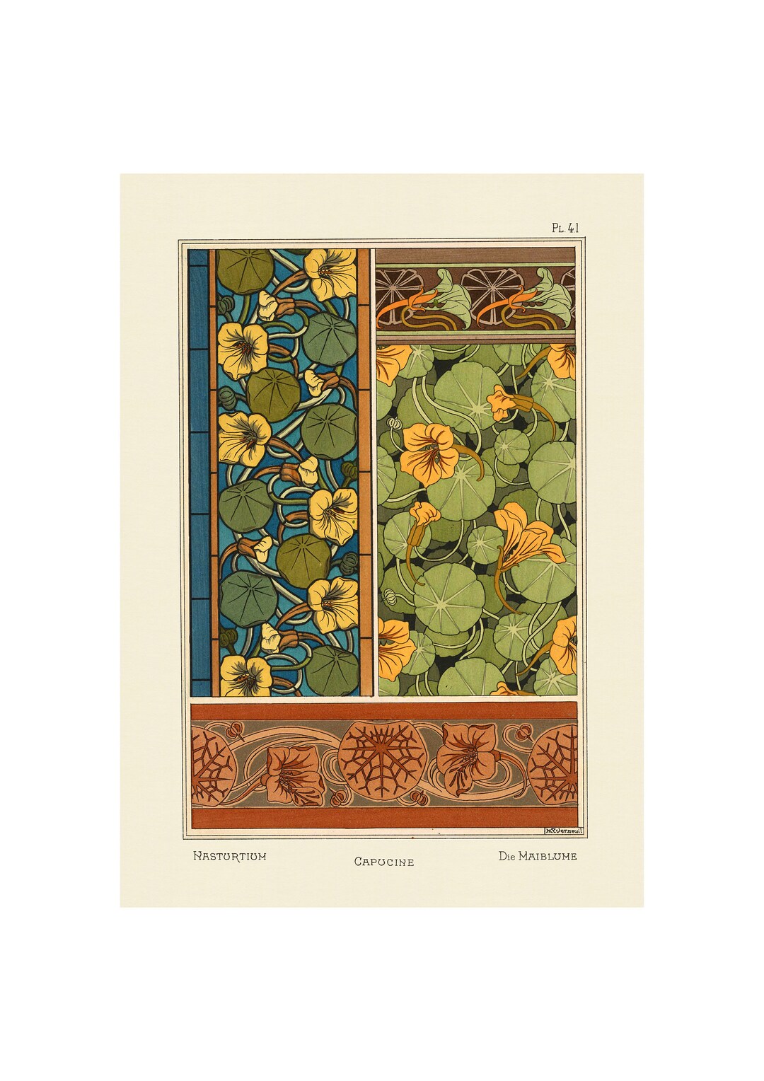 Chen Lin Canvas Print - Nasturtium Flower Antique Lithograph Poster, 12x18 Inch, Unframed Wall Art - View #11