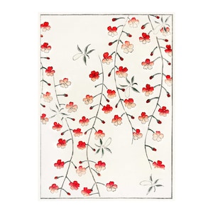 Cherry blossom vintage illustration from Bijutsu Sekai by Watanabe Seitei Fine Art Print - Framed/Unframed